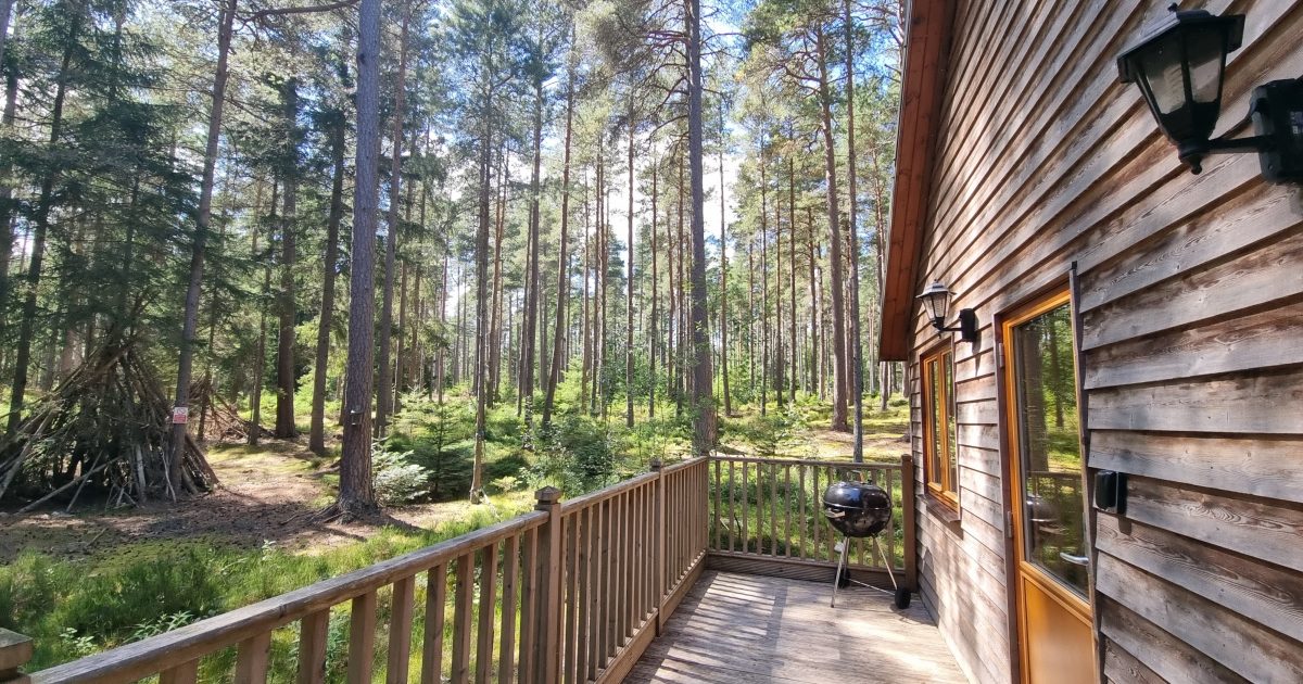 OpenGraph Image for Cairngorm Bothies and Cairngorm Lodges introduces flexible one-night bookings for summer events