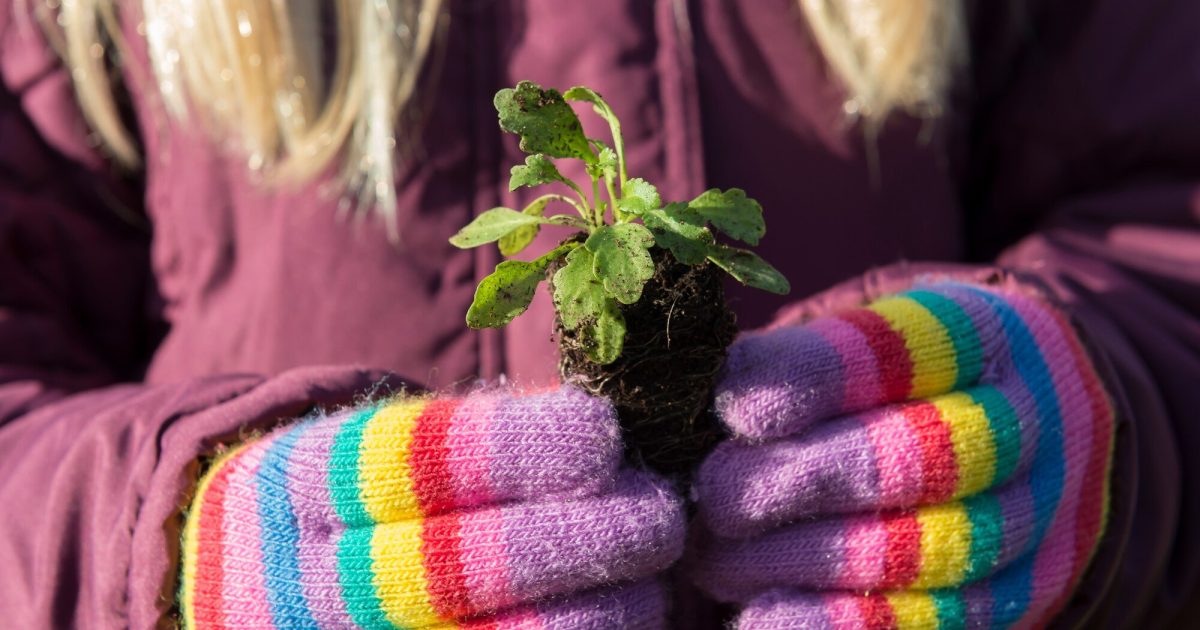 OpenGraph Image for Free outdoor educational adventures from Aberdeenshire Council’s Ranger Service