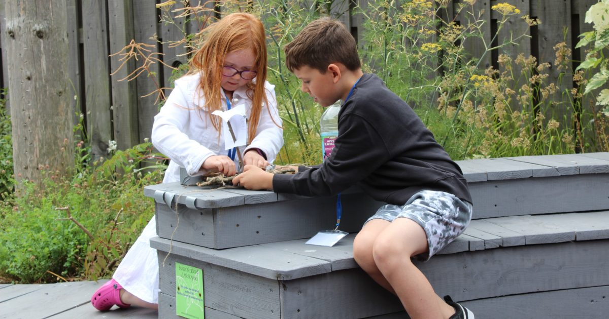 OpenGraph Image for Aberdeen Science Centre seeks sponsor-ship for summer of sailing