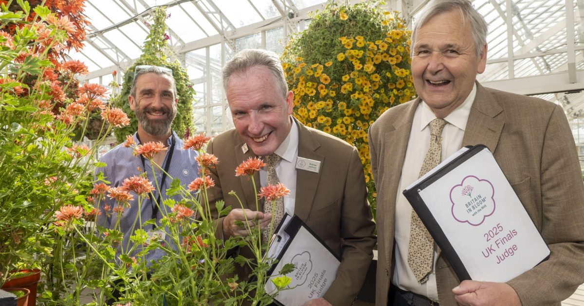 OpenGraph Image for Britain in Bloom judges visit city