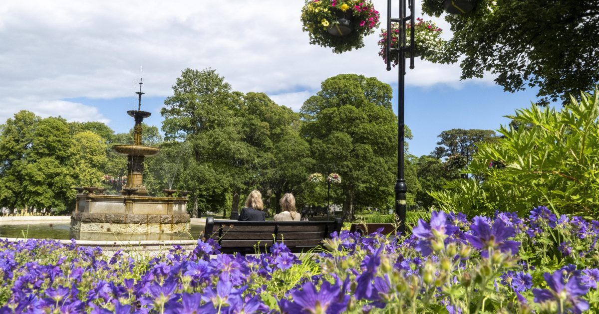 OpenGraph Image for Aberdeen wins gold in Britain in Bloom competition