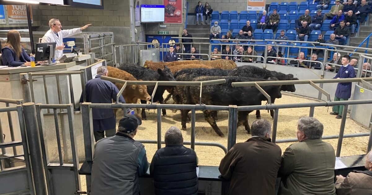 OpenGraph Image for Aberdeen & Northern Marts gear up for annual anniversary sale