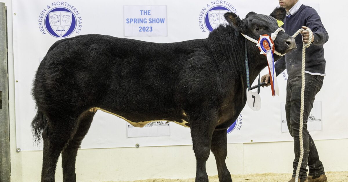 OpenGraph Image for Final livestock entries confirmed ahead of annual RNAS Spring Show