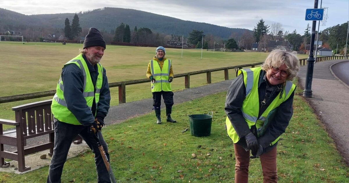 OpenGraph Image for 300,000 bulbs planted across Aberdeenshire by community groups to support biodiversity
