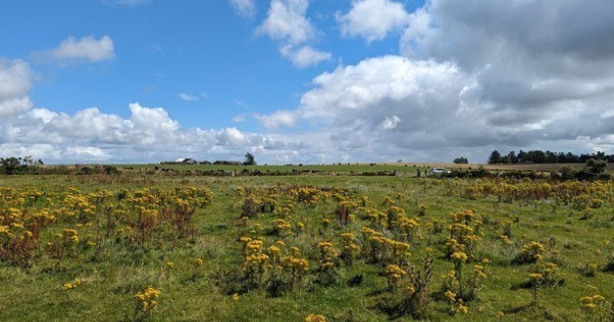 OpenGraph Image for Unearthing the past – using historic maps to locate missing peatland