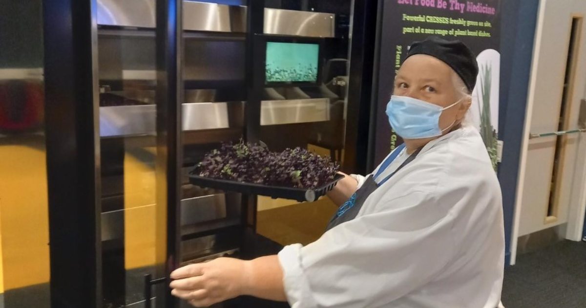 OpenGraph Image for New hydroponic unit helps deliver sustainability at ESS Northern Lights Lounge