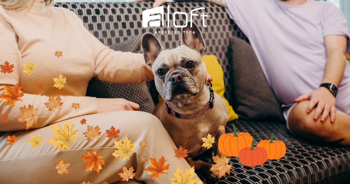 OpenGraph Image for Tickets on sale for pet photoshoot at Aloft Aberdeen TECA