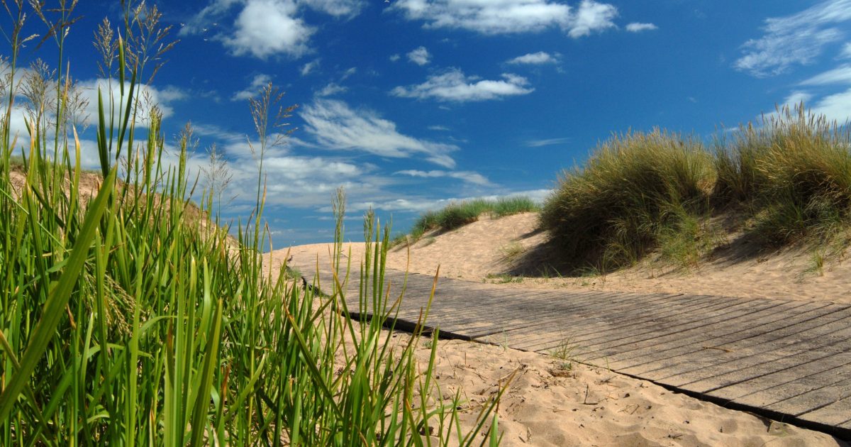 OpenGraph Image for Views sought on future of Balmedie Country Park