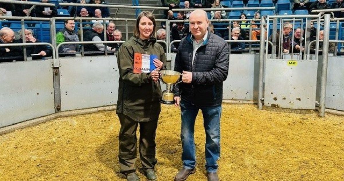 OpenGraph Image for Entries open ahead of 36th annual Anniversary Show & Sale