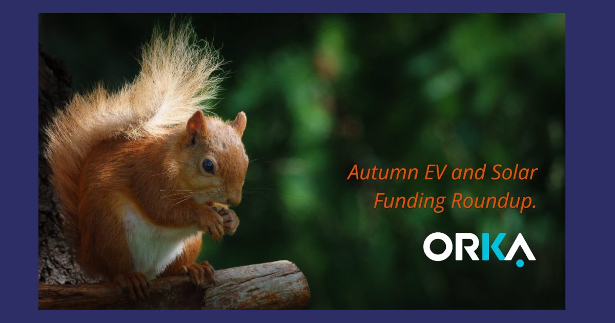 OpenGraph Image for Grants helping Scotland’s communities and businesses power the shift to net zero