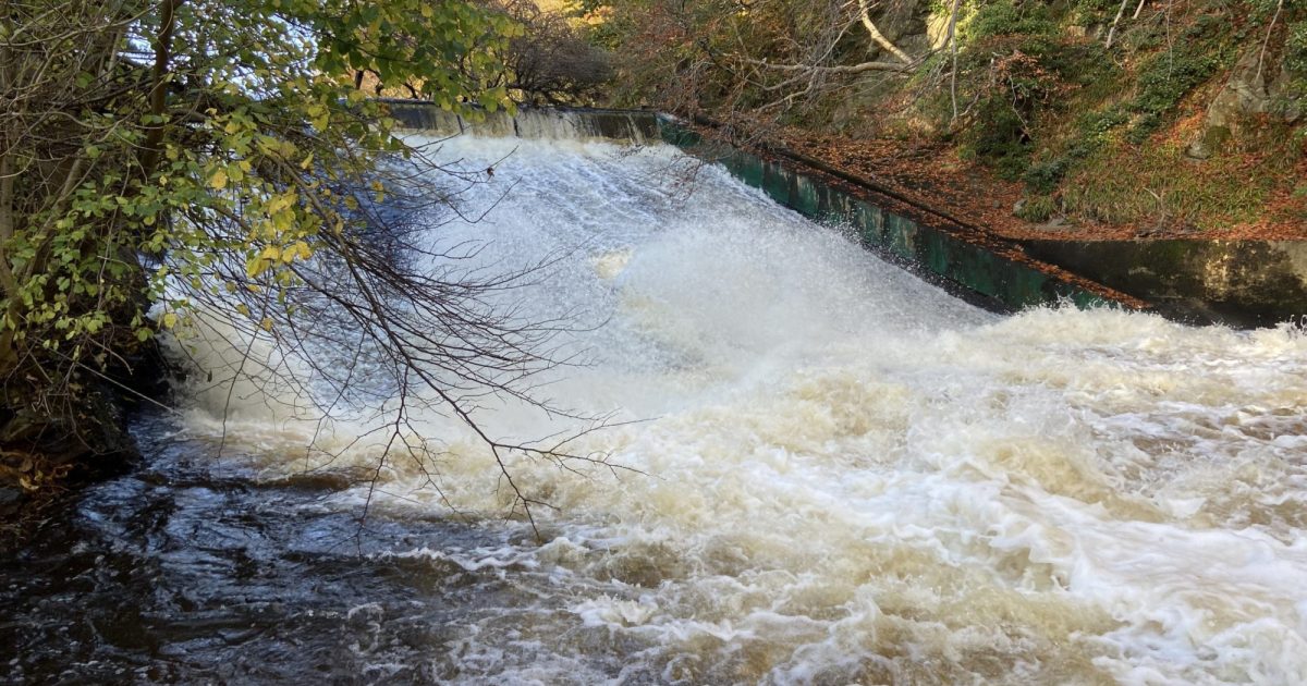 OpenGraph Image for Culter dam study could help community and nature