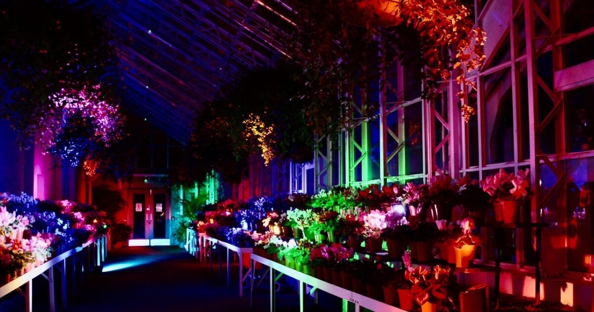 OpenGraph Image for Ponticelli announced as Winter Wonder Wander sponsor