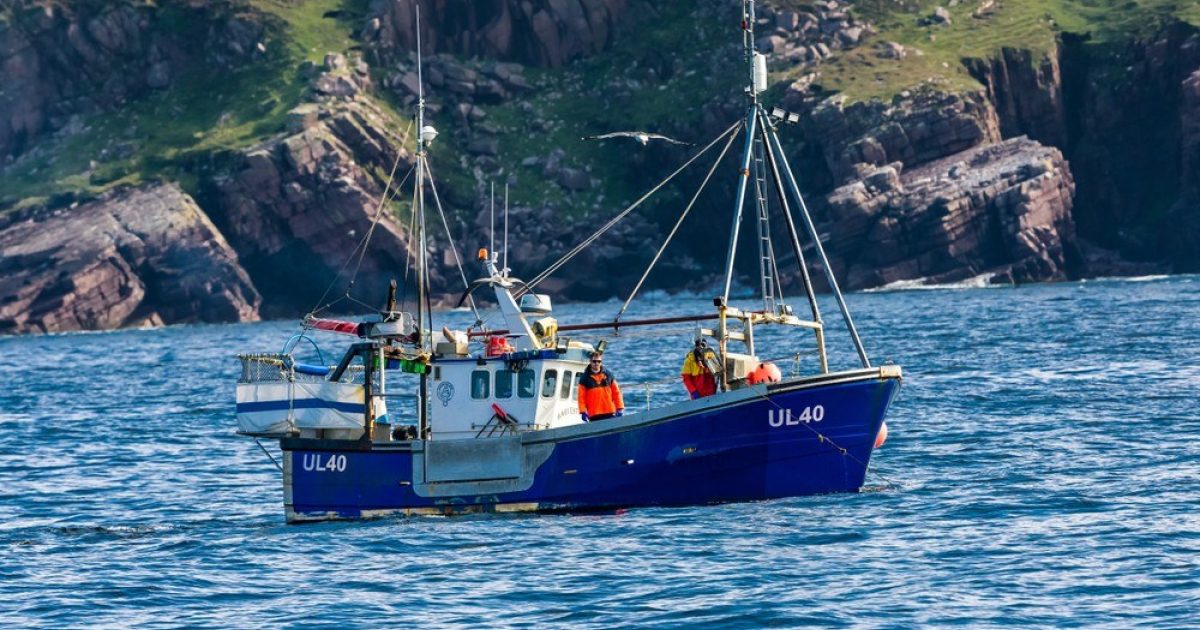 OpenGraph Image for Stop demonising fishing industry, SFF chief tells eNGOS