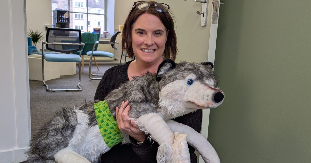 OpenGraph Image for Forrest Training to host Advanced Pet First Aid Course in April