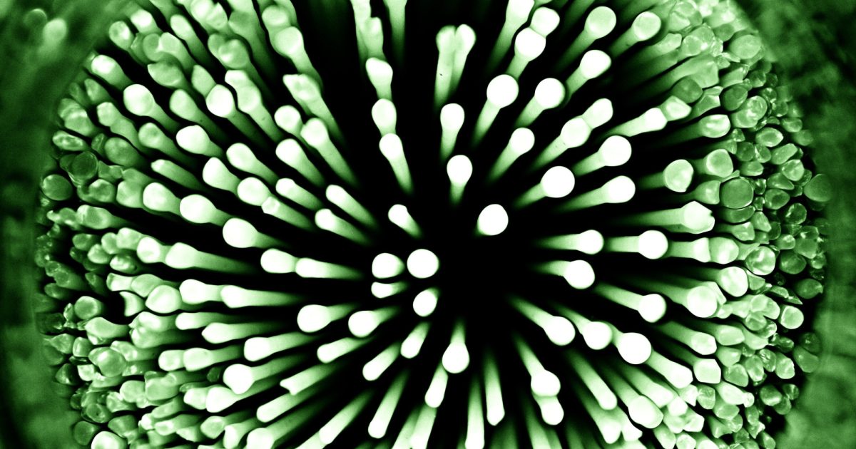 OpenGraph Image for Hutton joins AMAST Network to battle AMR in the agrifood system