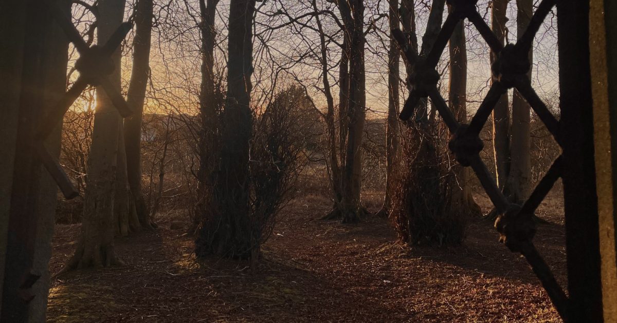 OpenGraph Image for Photography competition puts Aberdeen community in the spotlight