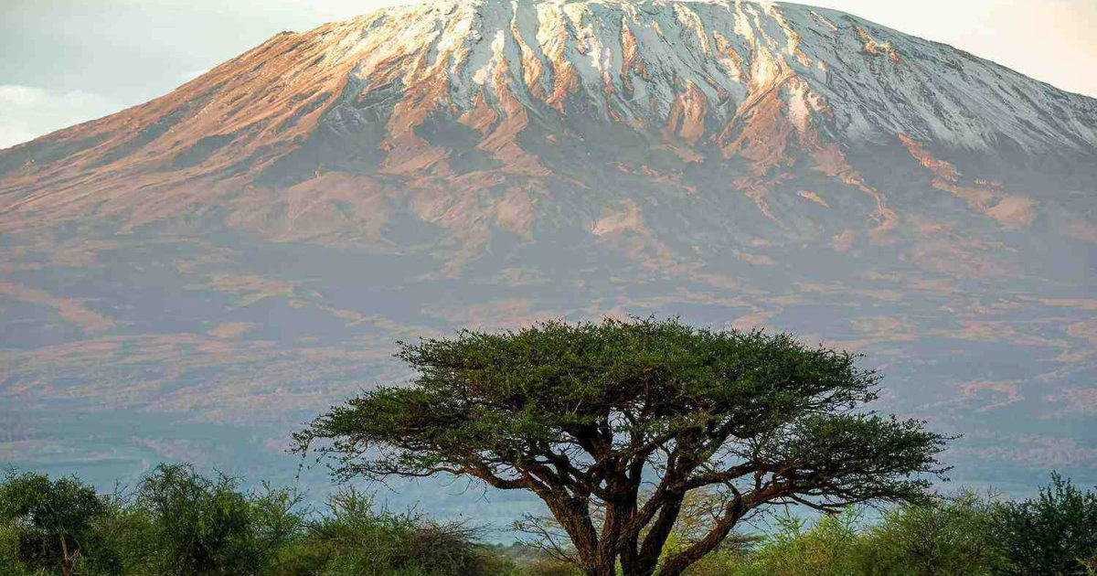 OpenGraph Image for NEREC’s Ross Skene takes on Mount Kilimanjaro challenge for student mental health