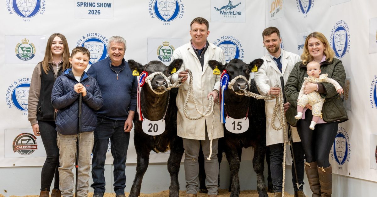 OpenGraph Image for Hendry brothers take overall championship at the show and sale of Exhibition Cattle