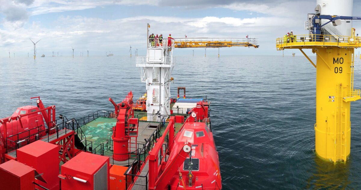 OpenGraph Image for OEG appoints David Carr as new Chief Commercial Officer