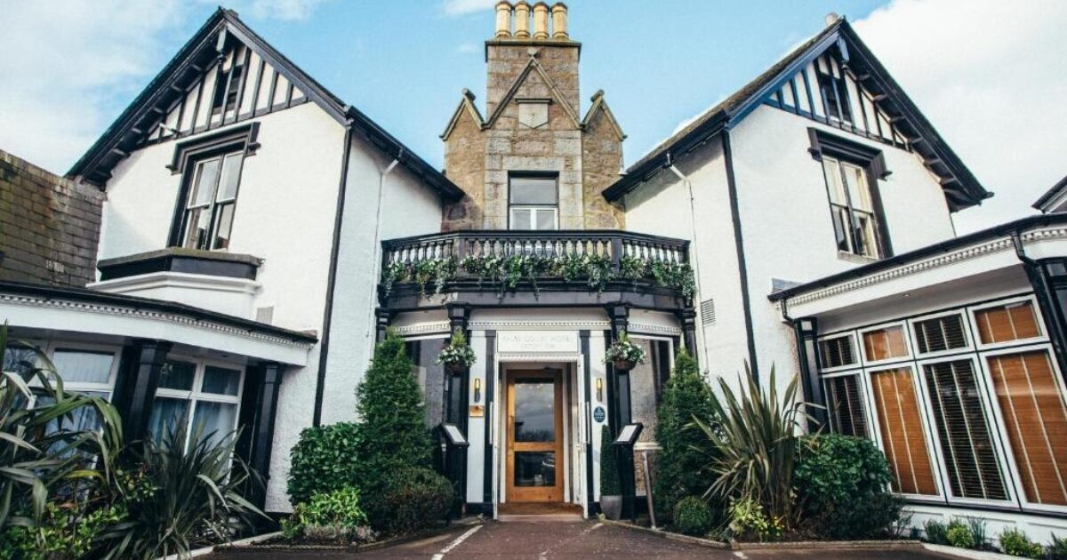 OpenGraph Image for Palm Court Hotel to host first open day