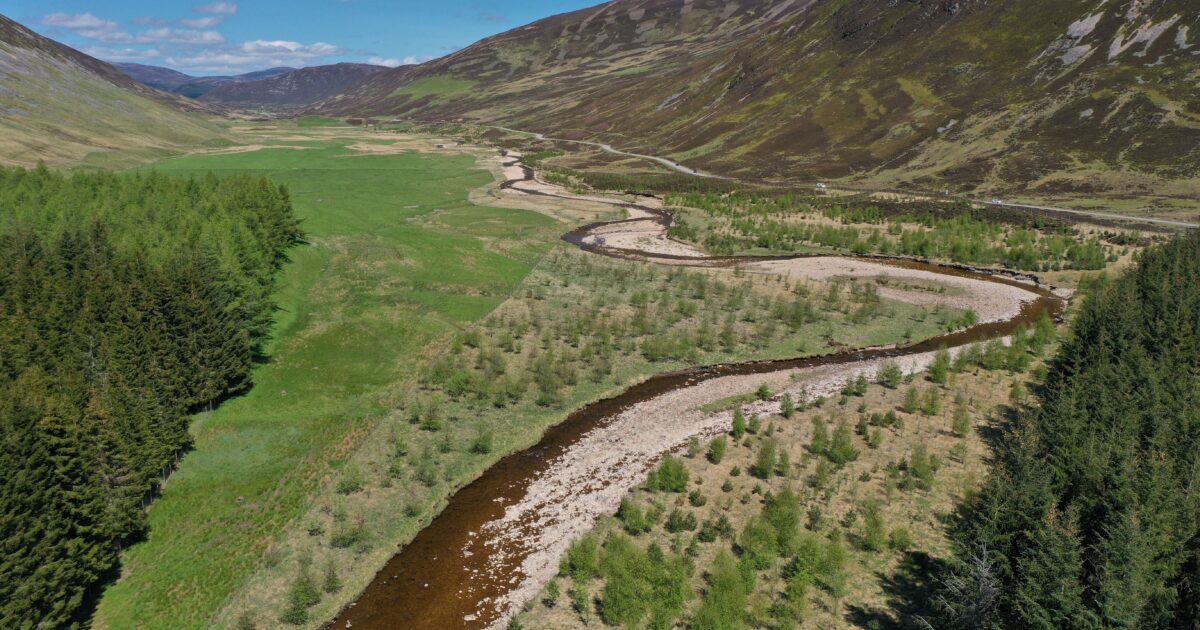OpenGraph Image for bp partnership creates new role for River Dee restoration programme