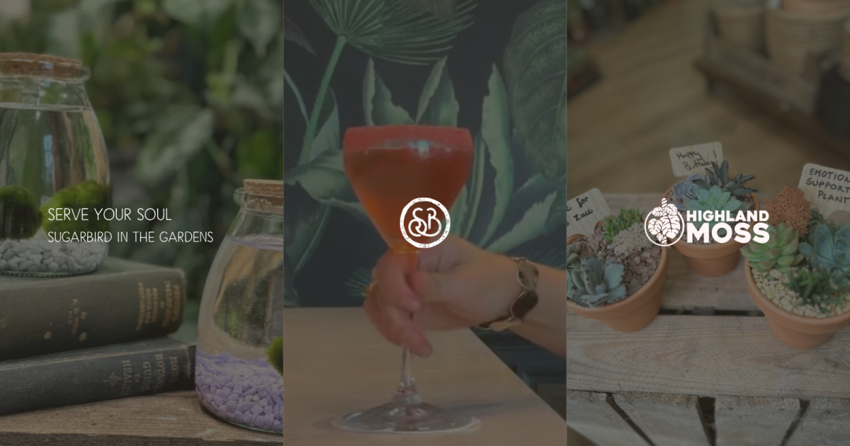 OpenGraph Image for SugarBird Wines x Highland Moss