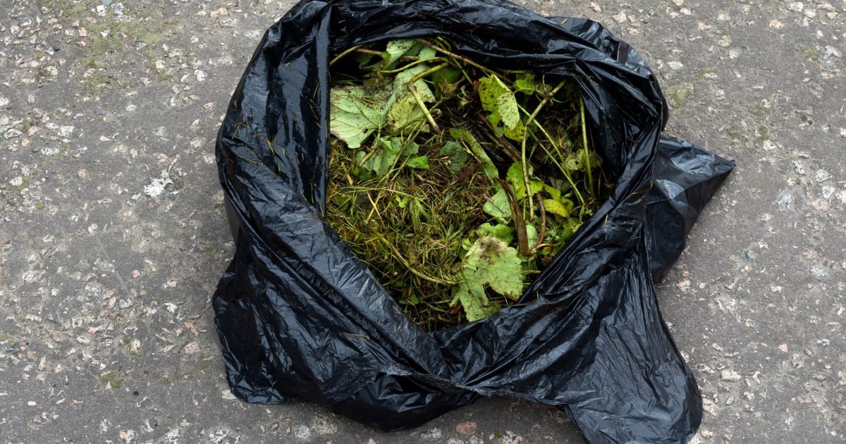 OpenGraph Image for Aberdeenshire Council seasonal garden waste points open from Saturday 5 April