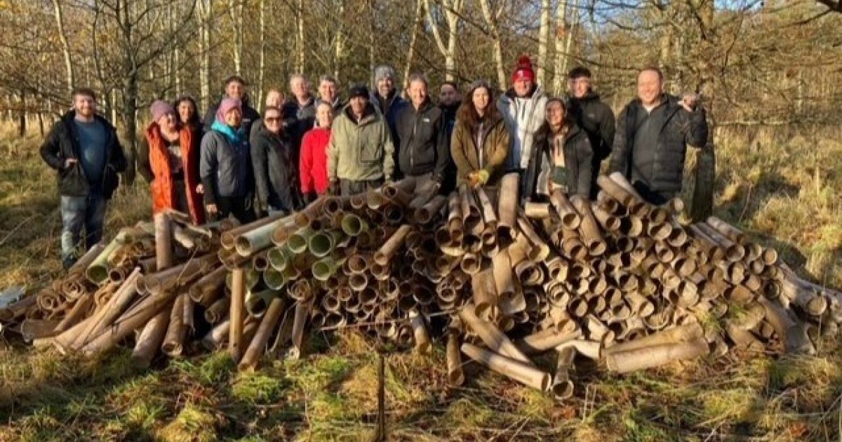 OpenGraph Image for TechnipFMC volunteers prevent plastic tree tubes entering the watercourse