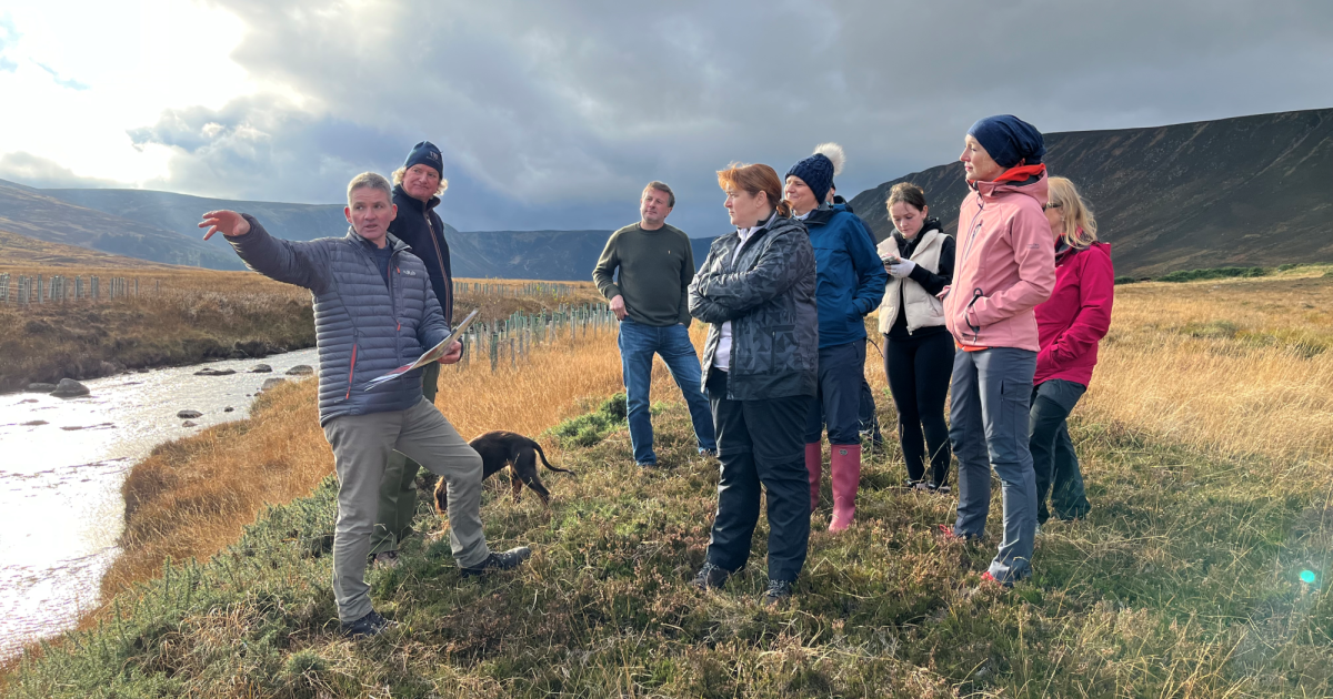 OpenGraph Image for River restoration visit for local businesses