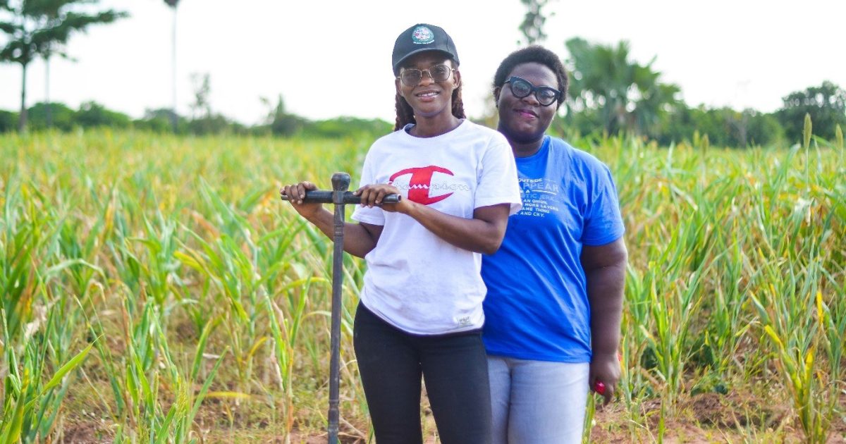 OpenGraph Image for New international network launched to transform environmental monitoring and climate smart farming across Africa