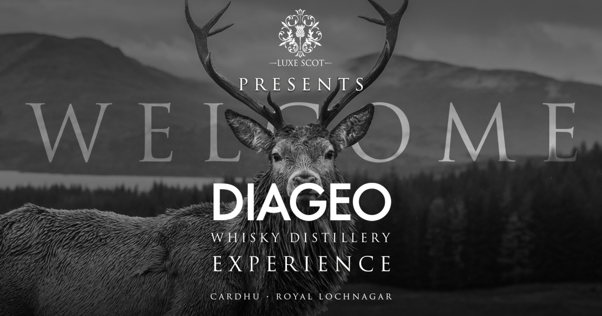 OpenGraph Image for Luxe Scot and Diageo deliver an unforgettable day for Aberdeen’s business community