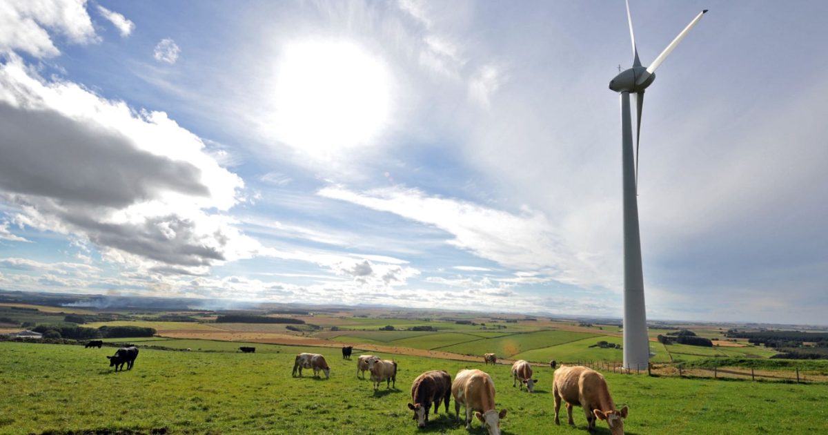 OpenGraph Image for The James Hutton Institute cuts emissions by over one-third in five years