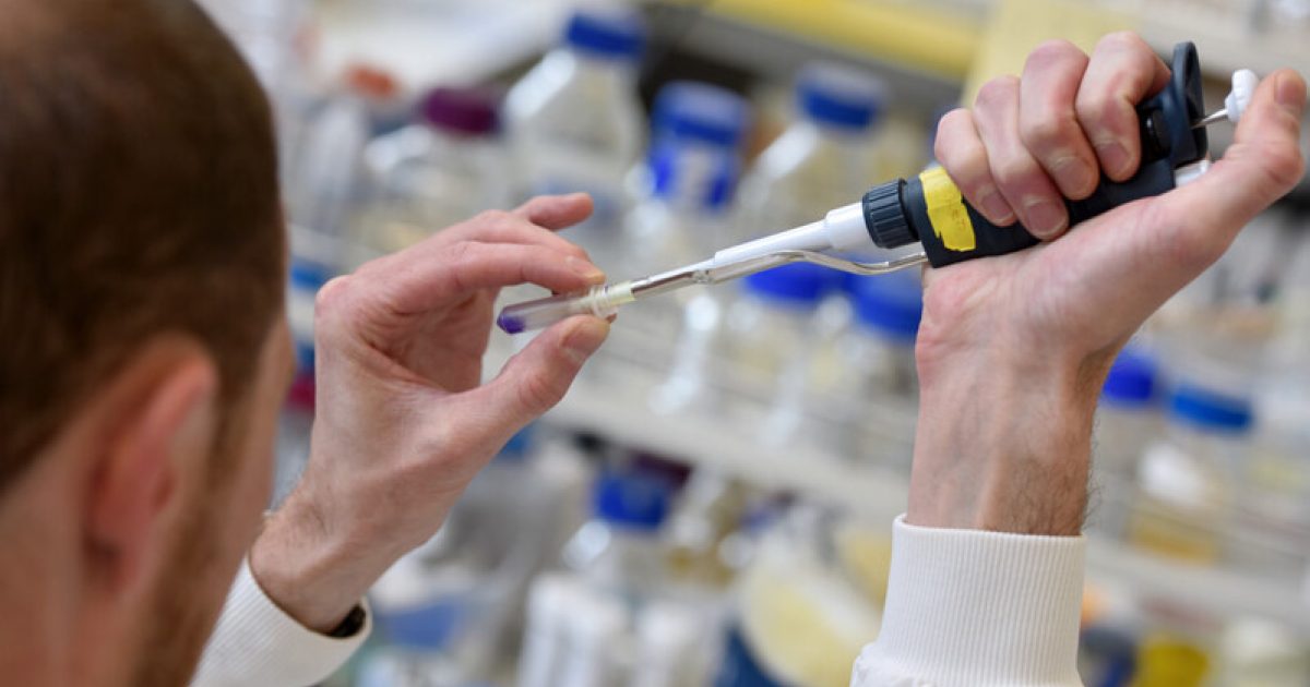 OpenGraph Image for University unveils strategy to boost innovation and drive new business creation