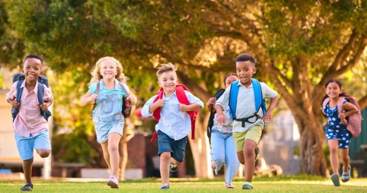 OpenGraph Image for Primary One placing requests open in January 2025