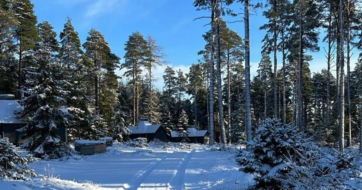 OpenGraph Image for Cairngorm Lodges Black Friday getaway