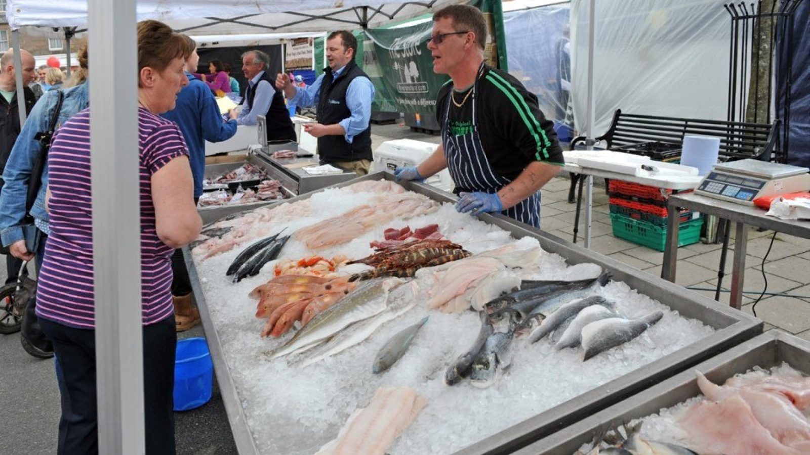 New Hutton study reveals untapped potential in Scottish seafood industry