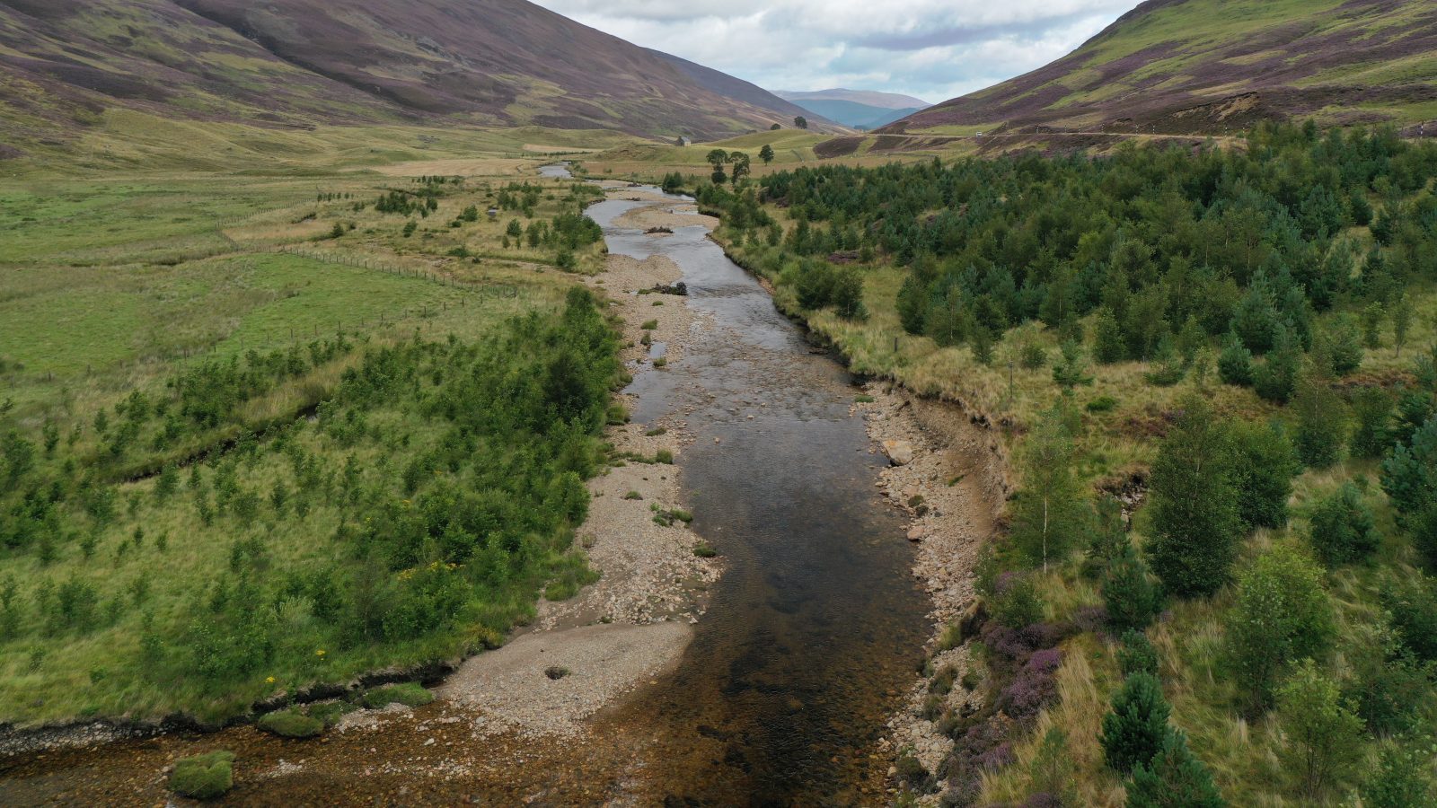 River Dee Trust seeks Trustee