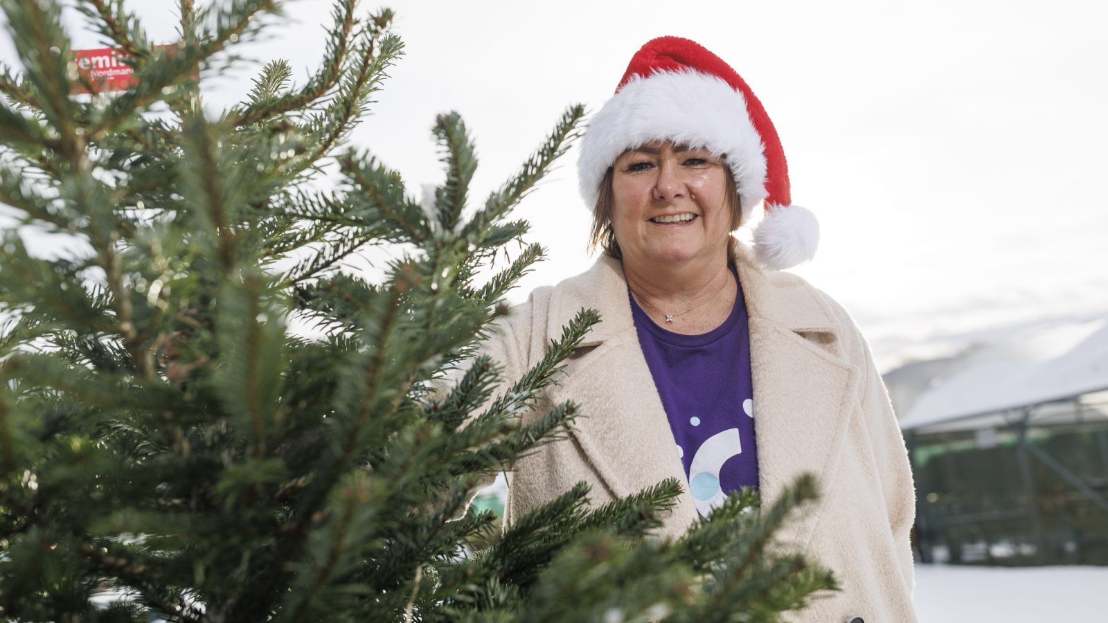 Clan grows Christmas tree collection service across city and shire