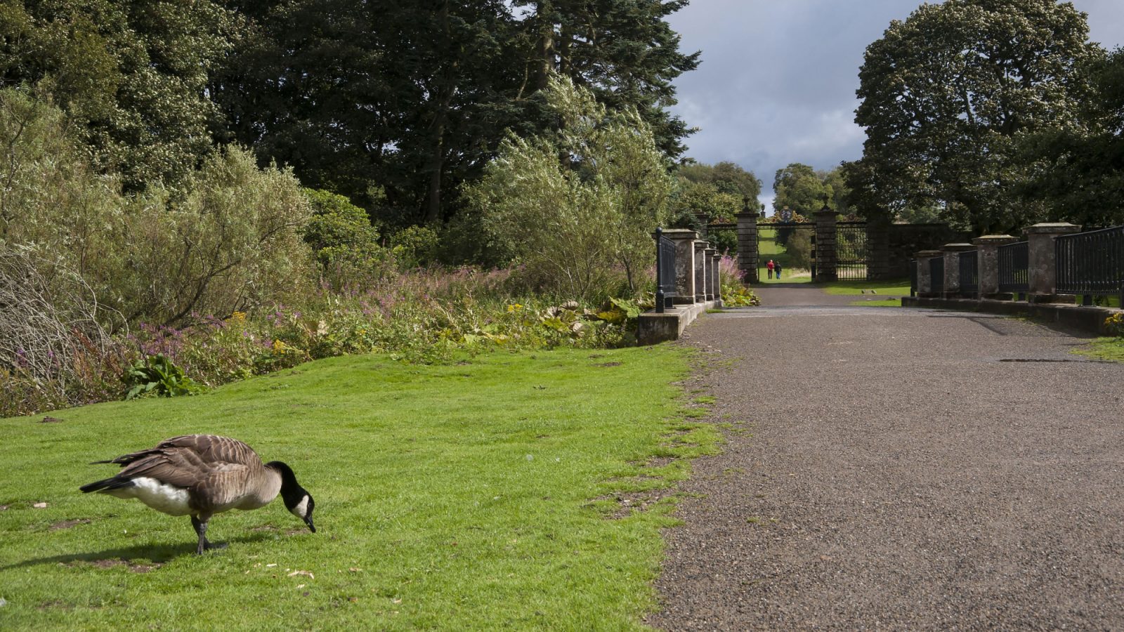 Back-to-back Green Flag Award wins for three Aberdeenshire parks