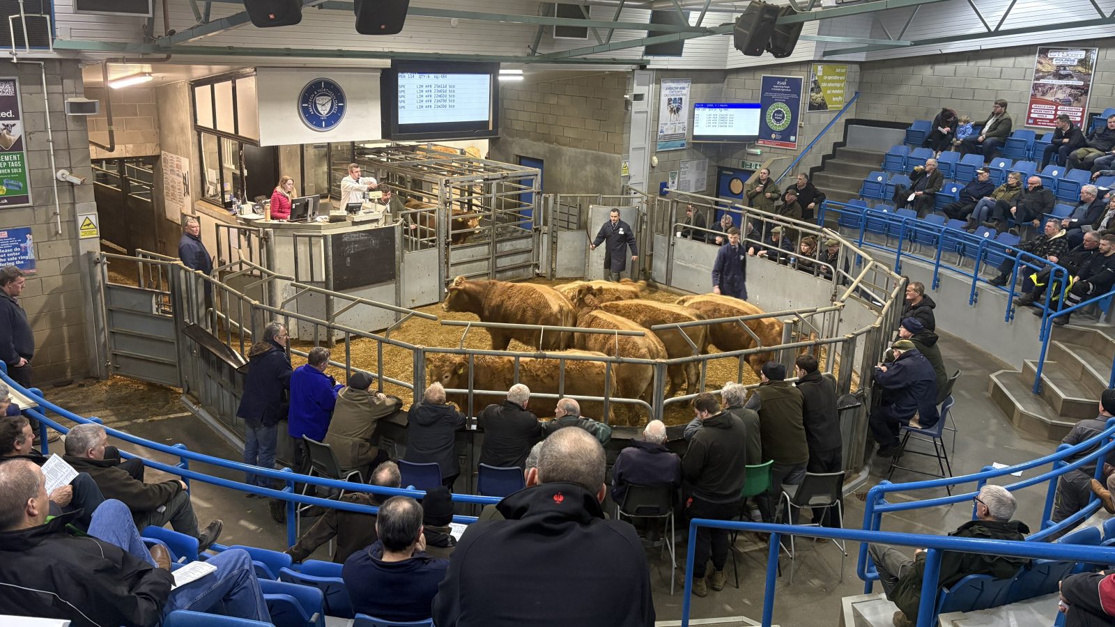 Leading member-owned co-operative turns in strong trading year