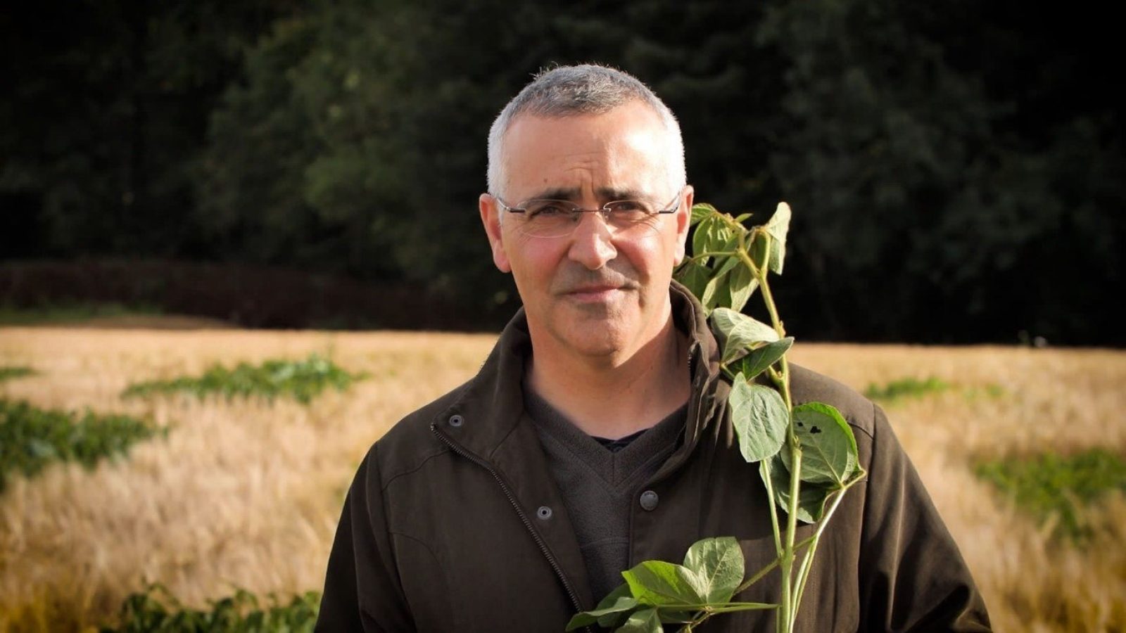 Professor Pete Iannetta elected Chair of UK Legume Research Community