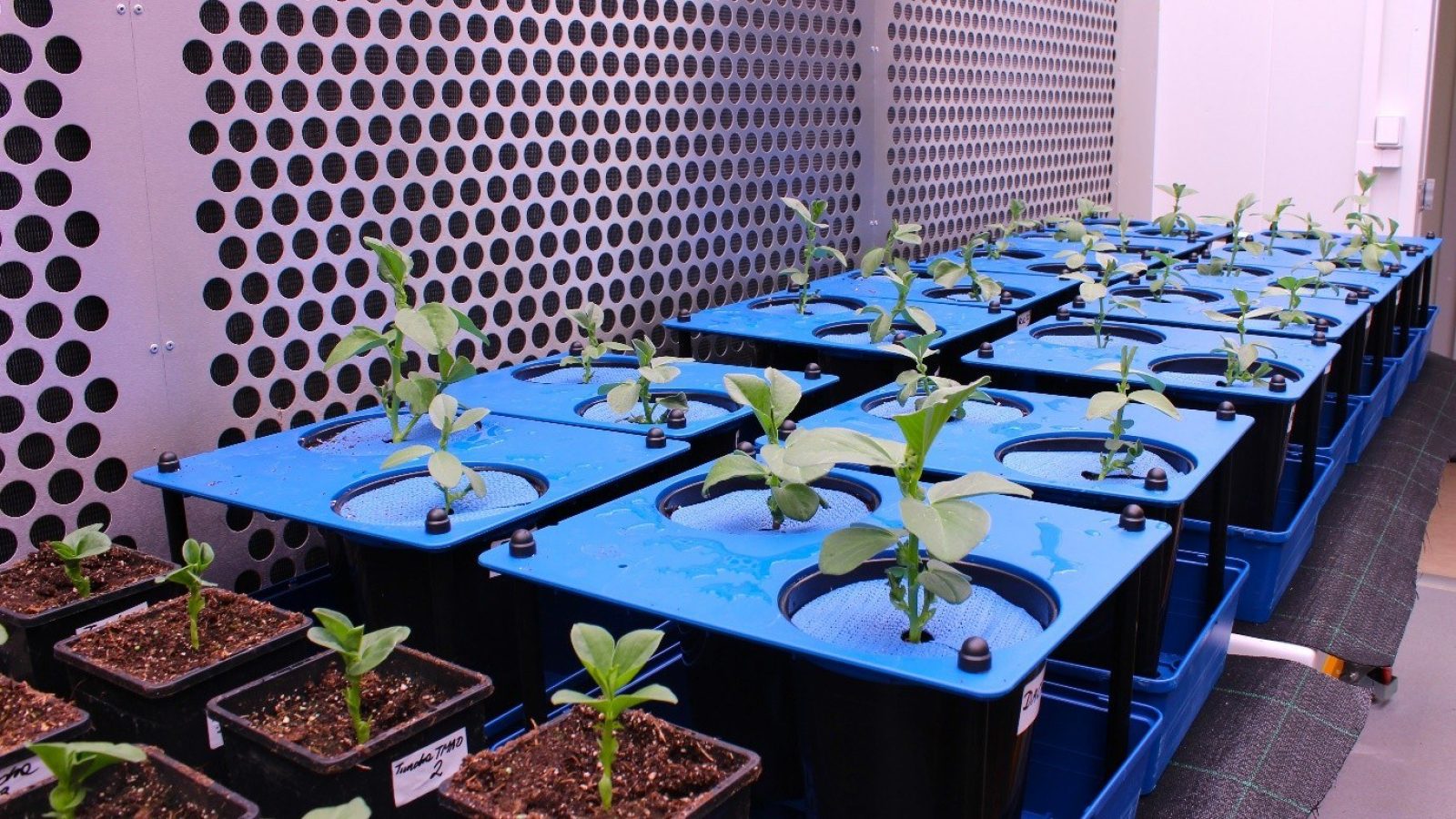 The James Hutton Institute is part of £35million investment to strengthen future food security