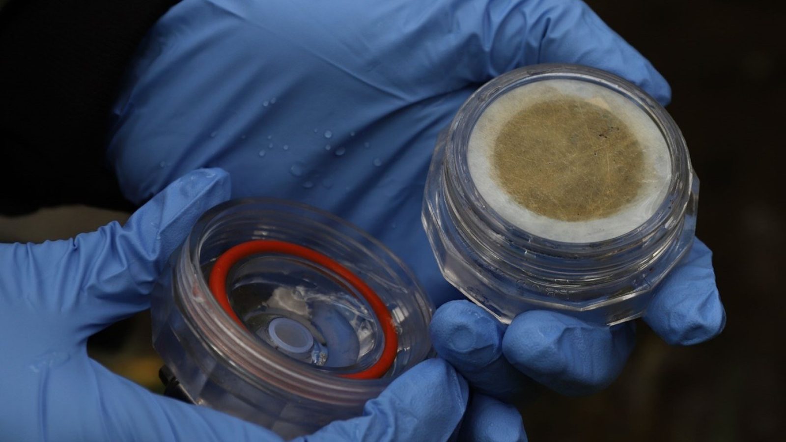 Roadmap to transform environmental monitoring using DNA technology