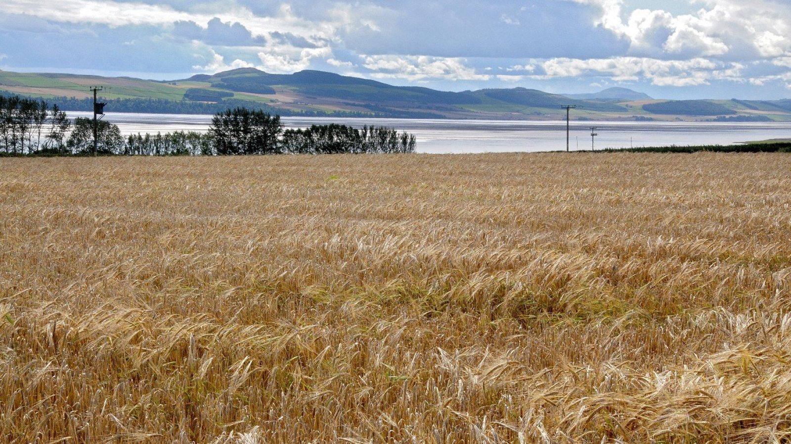 Hutton review details impact of microplastics on soils, crops and livestock health