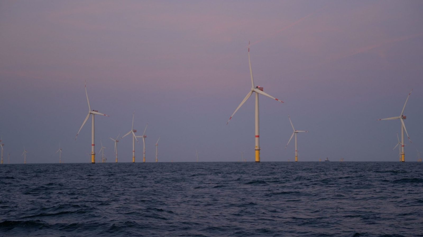 DeepOcean and TFKable Group to develop integrated inter-array cable offering with cable-laying vessel