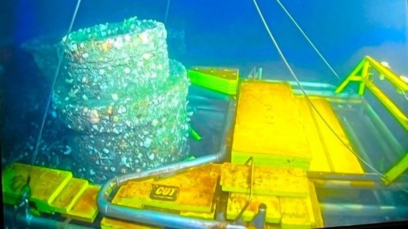 CUT on track for record year