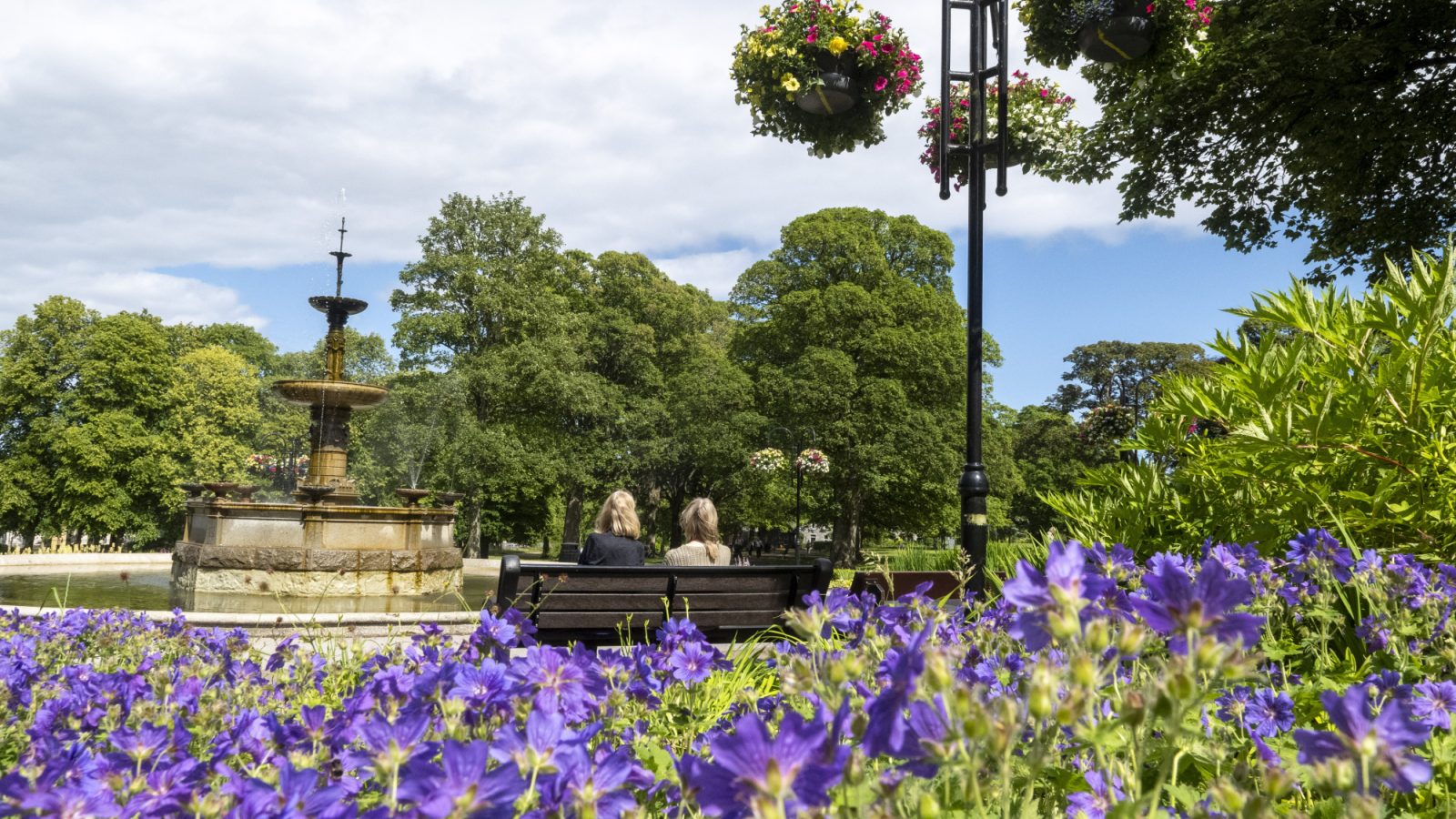 Aberdeen wins gold in Britain in Bloom competition