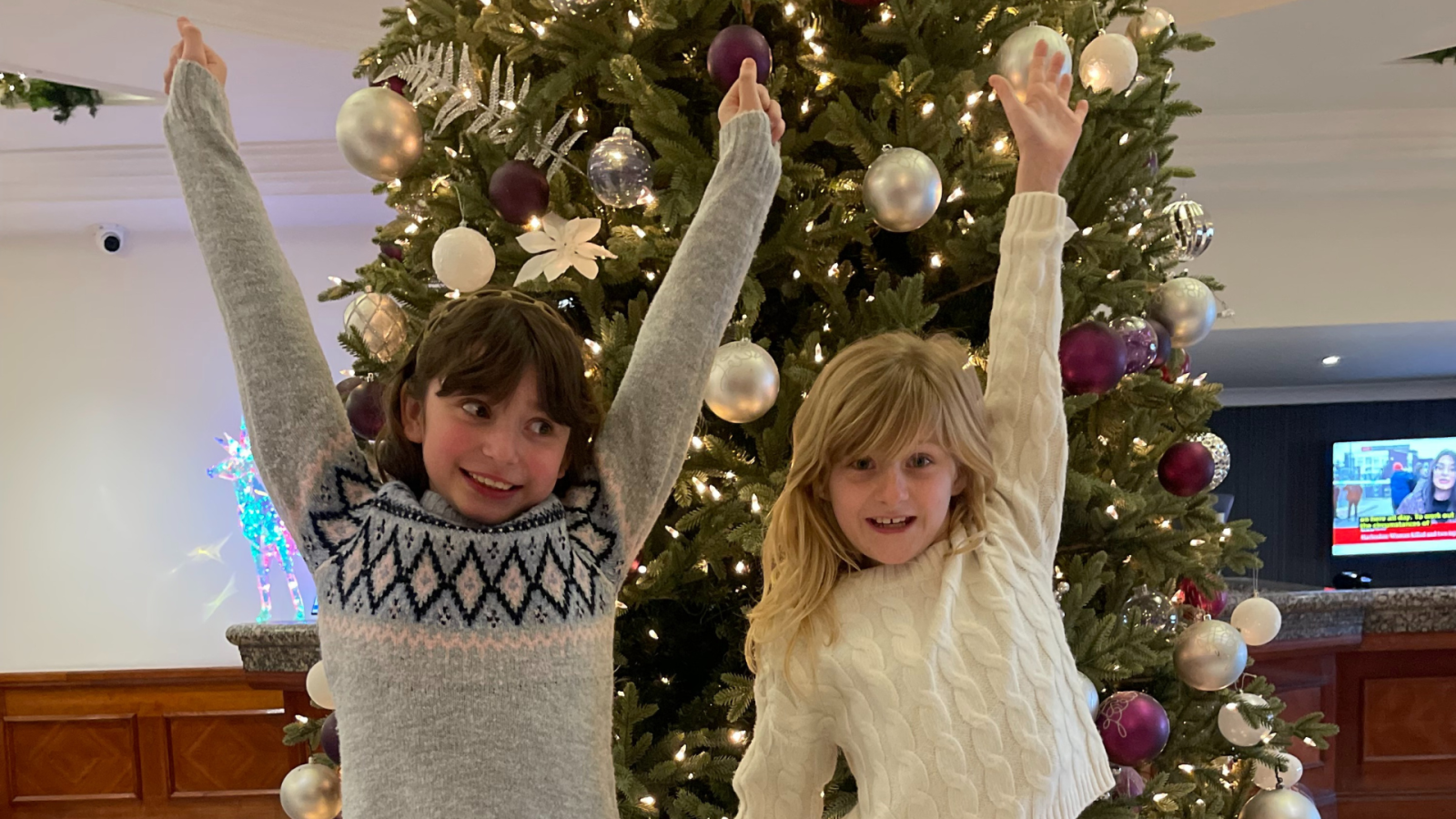 Befriend a Child issues final call for local organisation to sponsor its Giving Tree Appeal