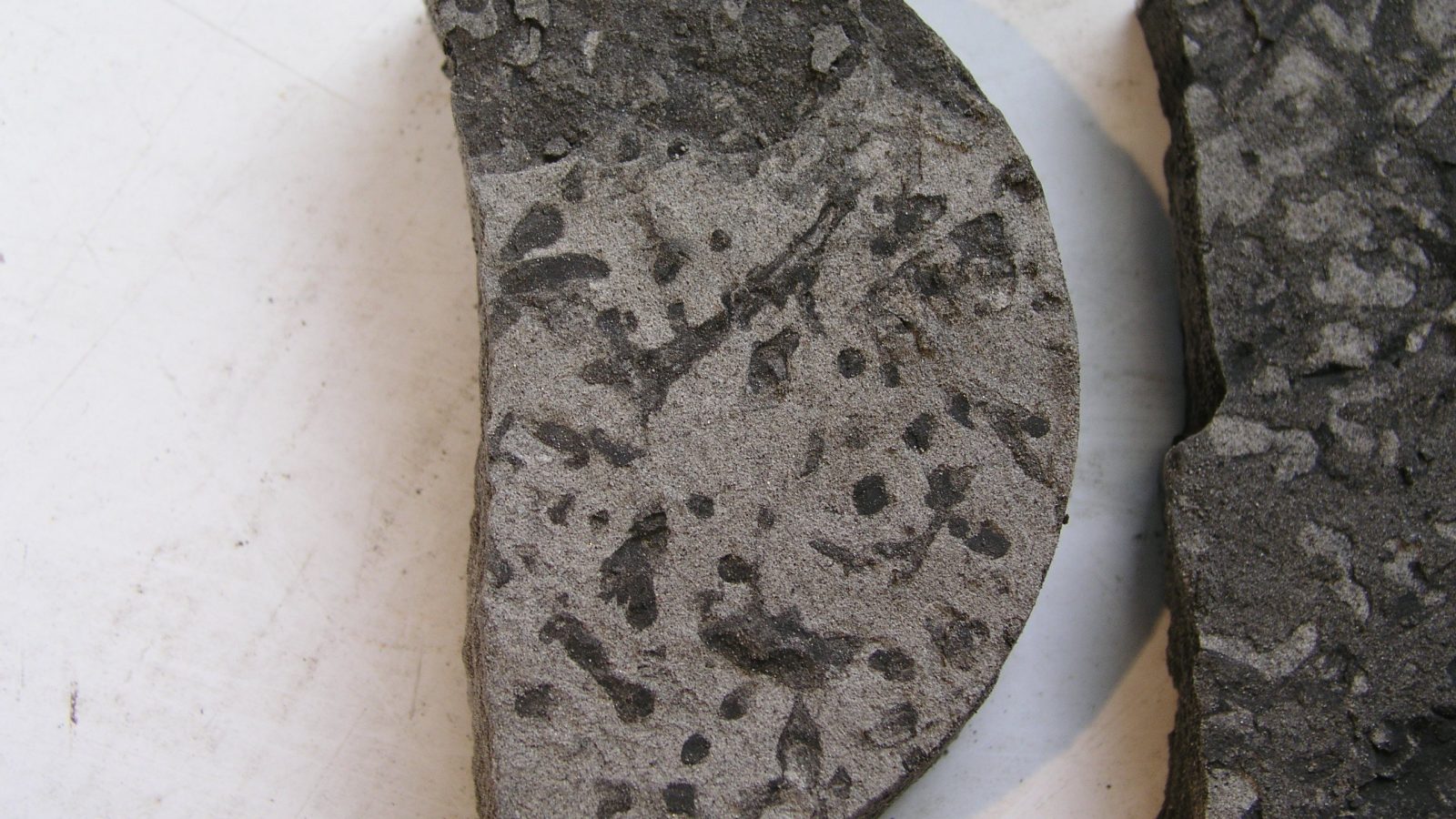 Ancient wildfire study offers warning for a warming world