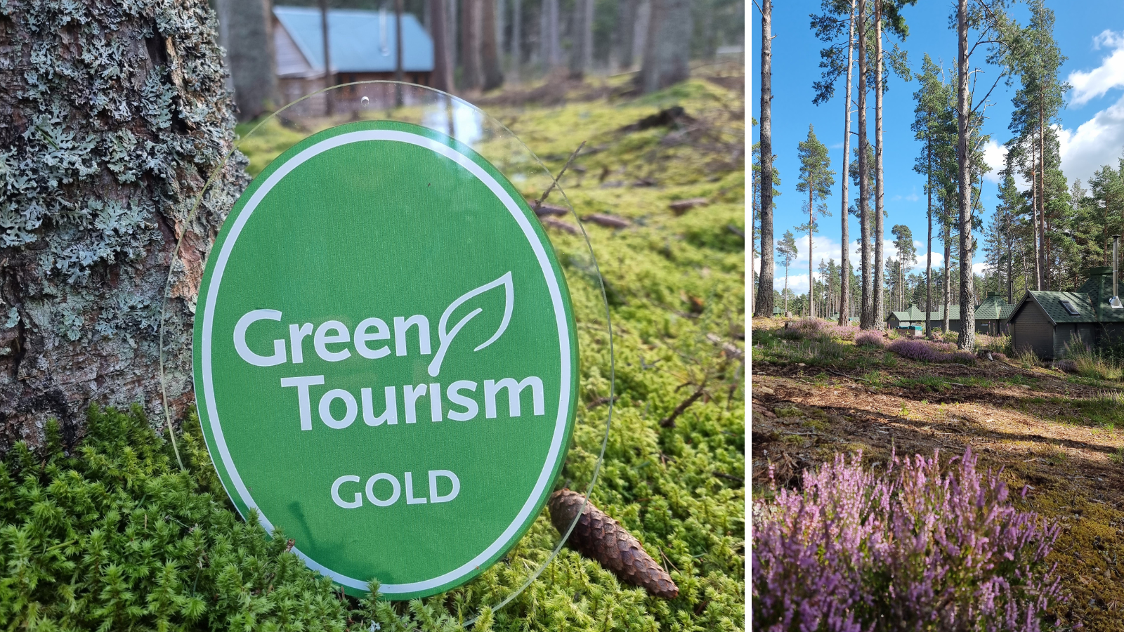 Sister sites Cairngorm Bothies and Cairngorm Lodges celebrate double gold success in green tourism awards